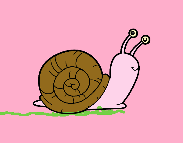 El caracol