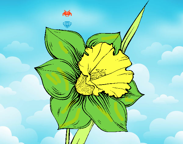 Flor de narciso