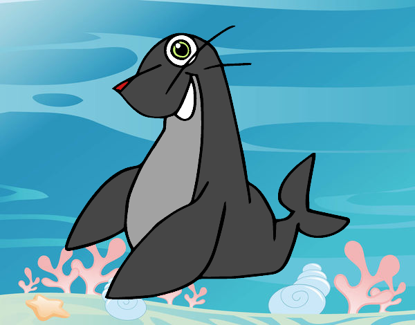 Foca monje