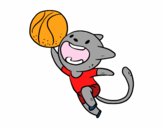 Gato jugando a baloncesto