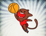 Gato jugando a baloncesto