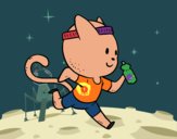 Gato runner