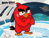 Red de Angry Birds