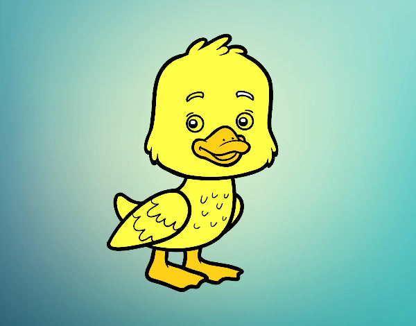 Un patito