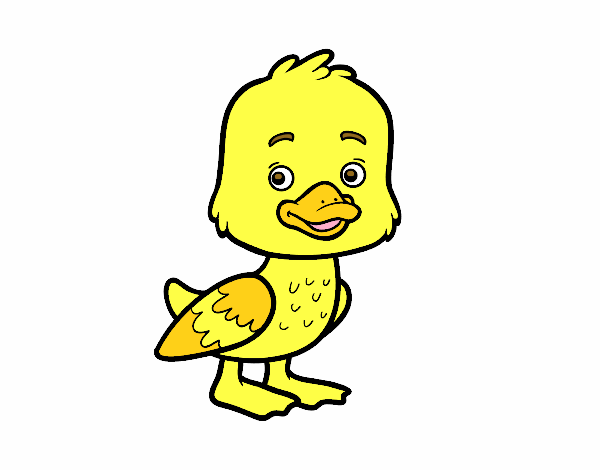 Un patito