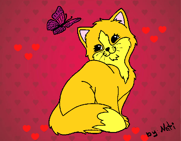 Gatito y mariposa