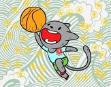 Gato jugando a baloncesto