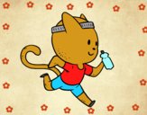 Gato runner