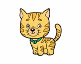 Dibujo Un gato doméstico pintado por HAOHAE