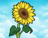 Dibujo Un girasol pintado por Negrita68