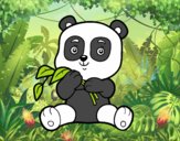 Un oso panda