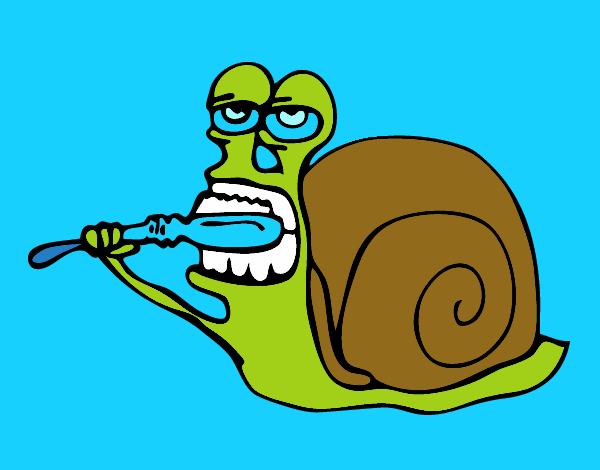 Caracol limpio