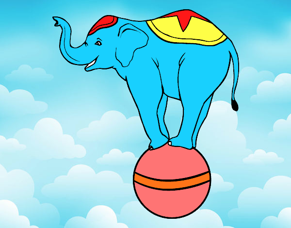 Elefante equilibrista