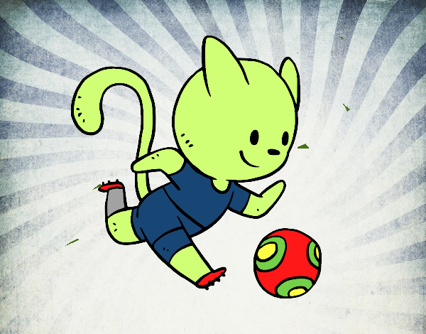 Gato jugando a fútbol