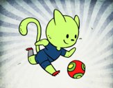 Gato jugando a fútbol