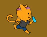 Gato runner