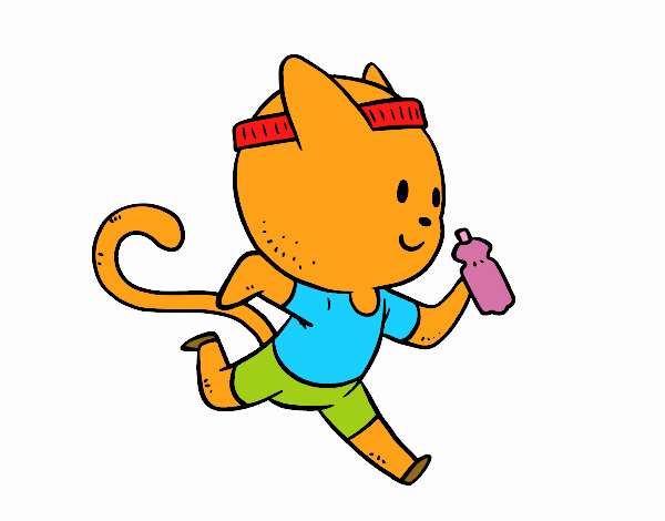 Gato runner