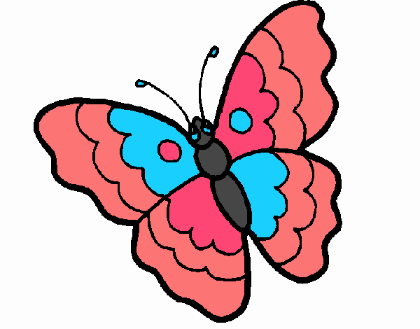 Mariposa 13