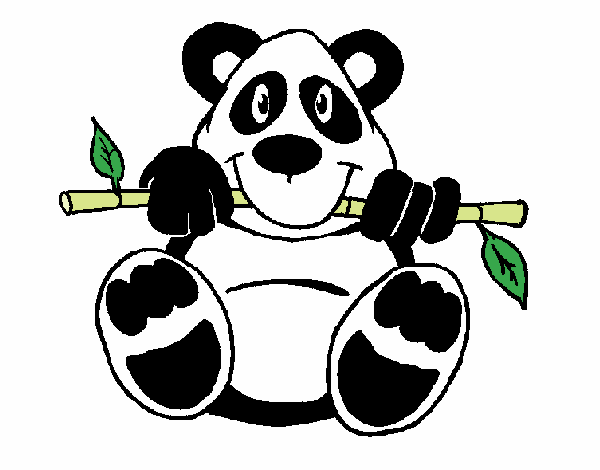 Oso panda