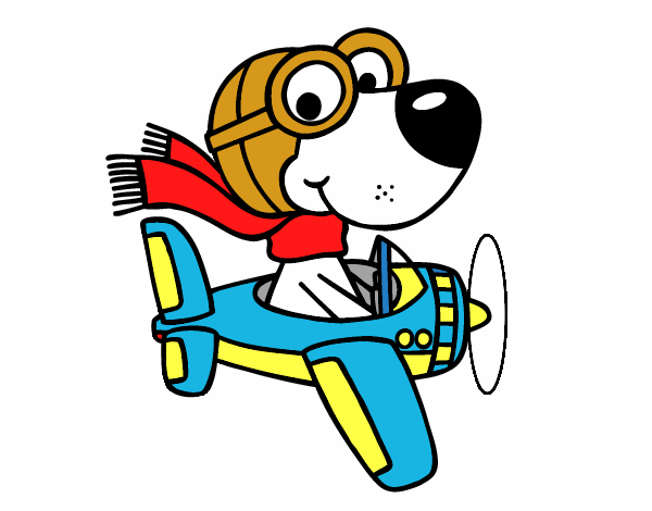 Perro piloto