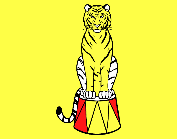 Tigre de circo