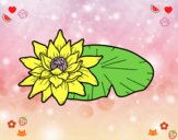 Dibujo Una flor de loto pintado por yenife