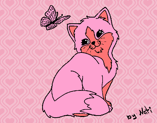 Gatito y mariposa