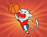 Gato jugando a baloncesto