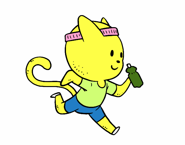 Gato runner