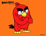 Red de Angry Birds