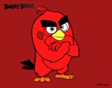 Red de Angry Birds