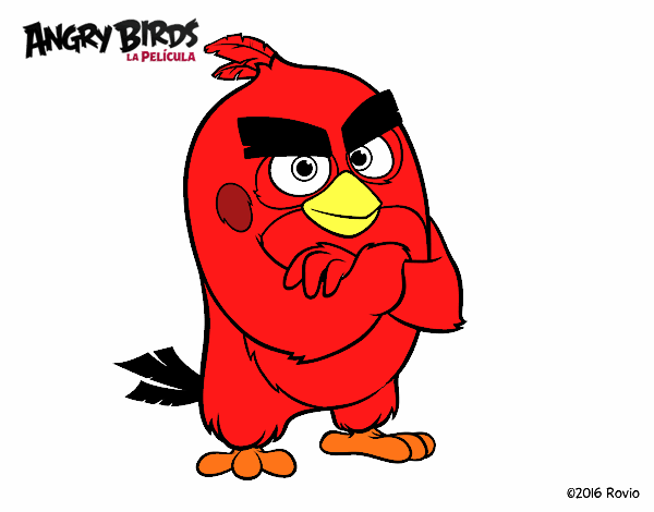 Red de Angry Birds