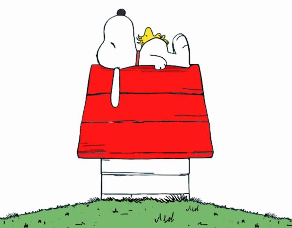 Snoopy durmiendo