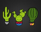 Dibujo 3 mini cactus pintado por boomboom