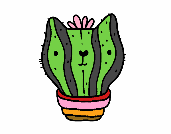 Cactus gato