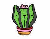 Cactus gato