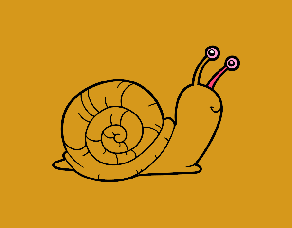 El caracol