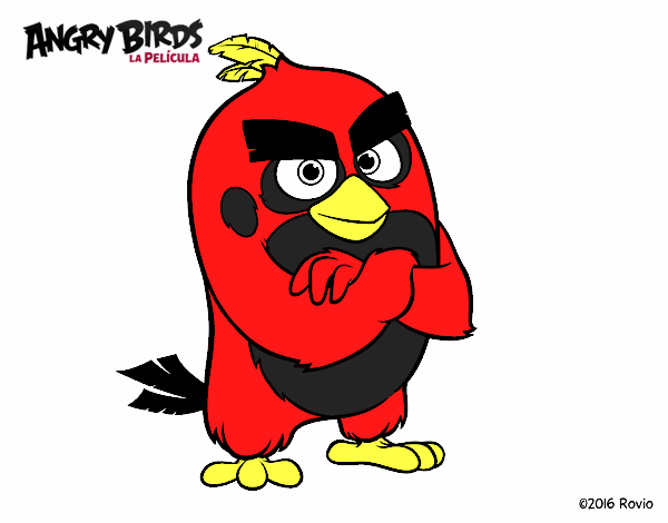 Red de Angry Birds