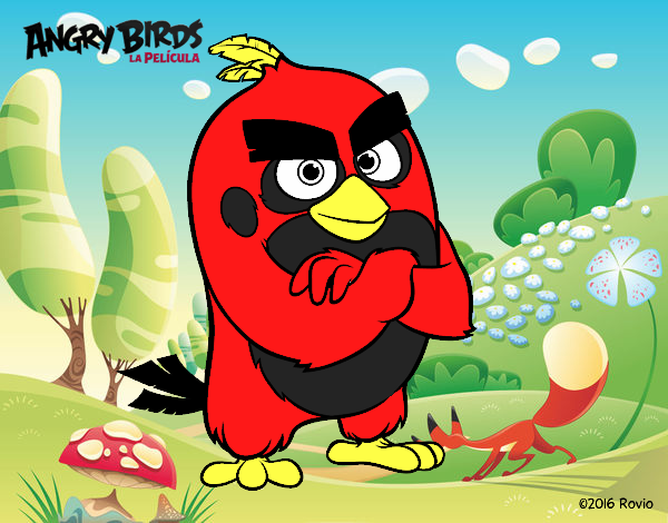 Red de Angry Birds