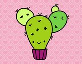 Cactus nopal