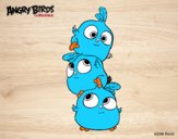 Las crias de Angry Birds