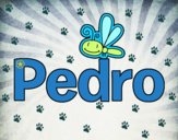 Pedro