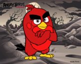 Red de Angry Birds