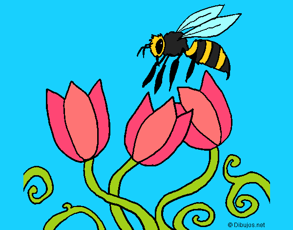 Abeja 3