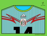 Camiseta del mundial de fútbol 2014 de México