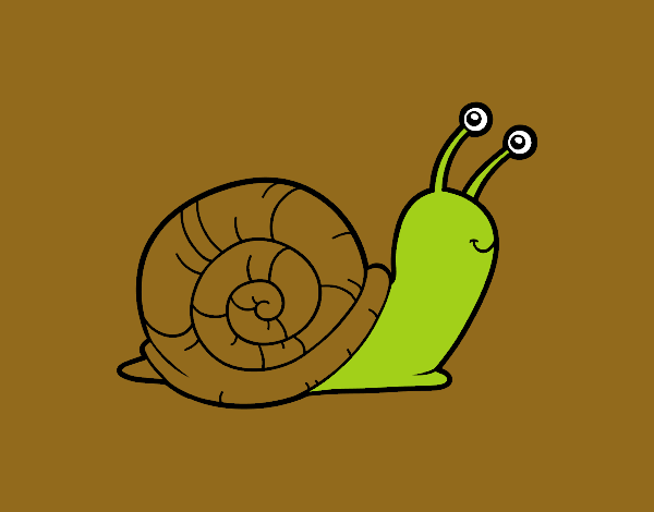 El caracol