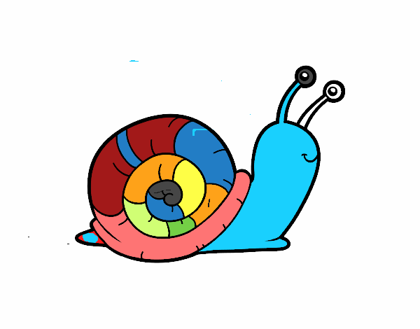 El caracol