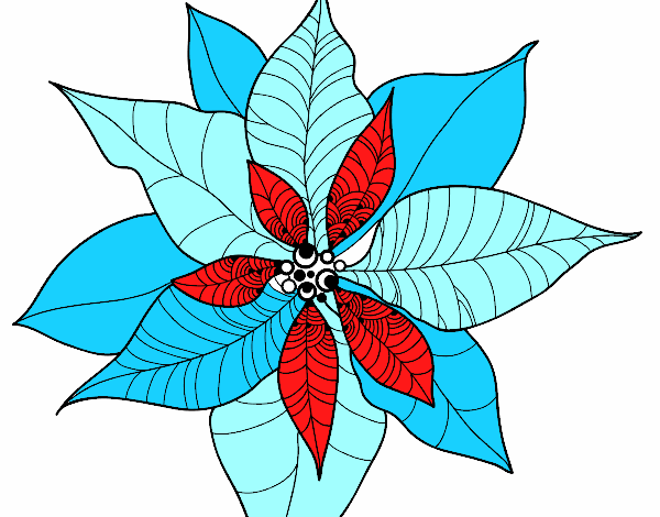 Flor de poinsetia