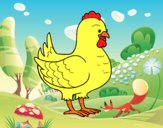 Gallina de una granja