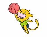 Gato jugando a baloncesto